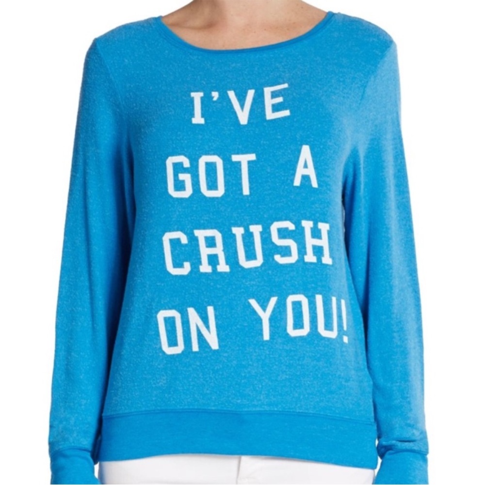 Wildfox Blue Graphic Women's Crewneck Sweater